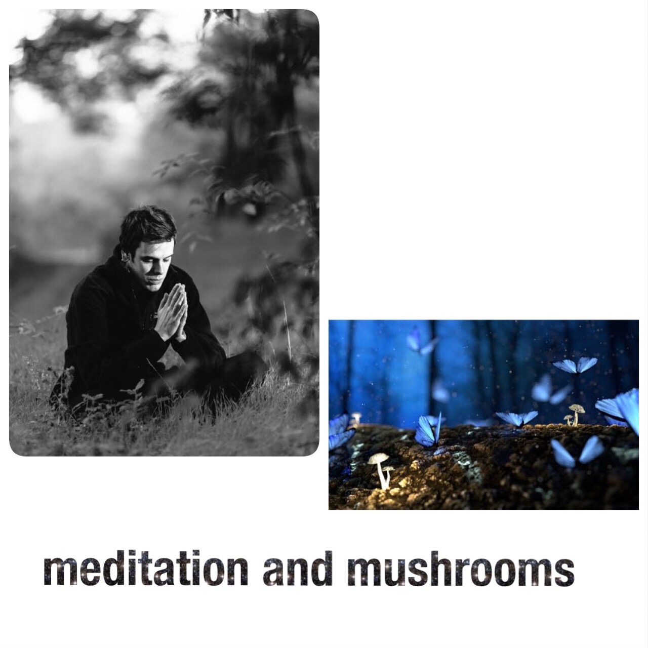 Treating mental illness with medication combined mushrooms