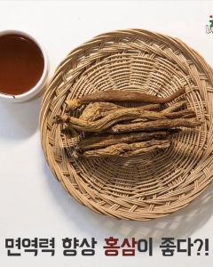 List Of 4 Best Health And Nutritional Benefits Of Ginseng