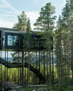 An Unique Swedish Tree House Experience