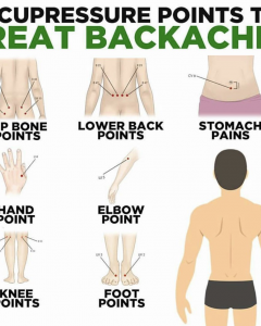 Acupressure is more effective in relieving lower back pain than physical therapy