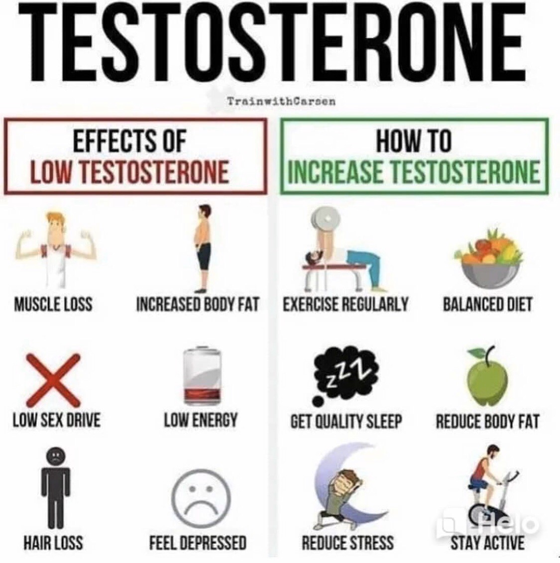 Which testosterone should you supplement?