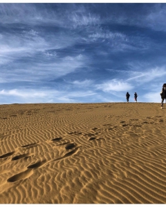 Tottori Sand Dunes : Unique natural attraction