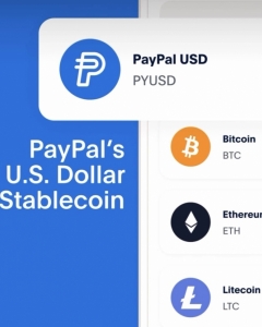 Breaking News: Payment Giant PayPal Makes Waves with Launch of Digital Currency