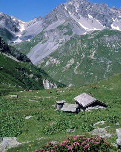 French students rent Houses on farms due to High Rents