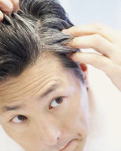 he shou wu: Secret for early gray hair treatment