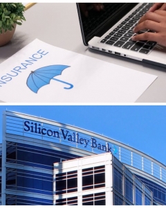 How Is Silicon Valley Bank Downfall Impact On FIRE Sectors?