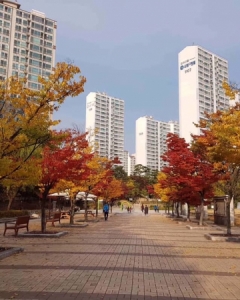 Korean Real Estate: Analyst Insights