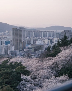 Korean Real Estate fell 18.4%