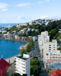 Migrant Home Buyers Continue to Shape New Zealand\'s Housing Market