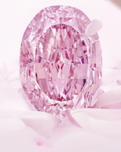 The super rare pink diamond will be auctioned today in Switzerland