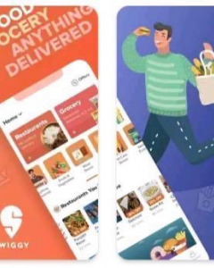 Swiggy successfully raised $1.25bn from SoftBank and other investors