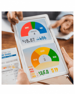 The Impact of Credit Scores on Borrowers’ Financial Lives