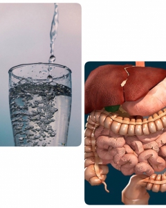 The secret for 5 internal organs pure cleanse simple  but effective