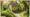 France Real Estate Investment: The Allure of Forests Amid Uncertainty